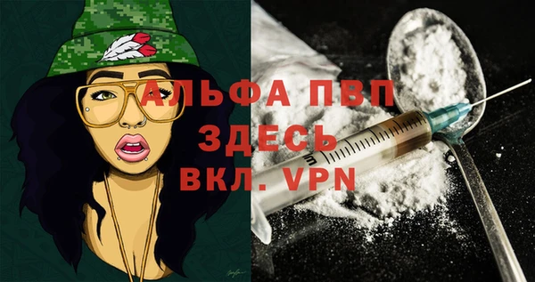 дмт Белокуриха